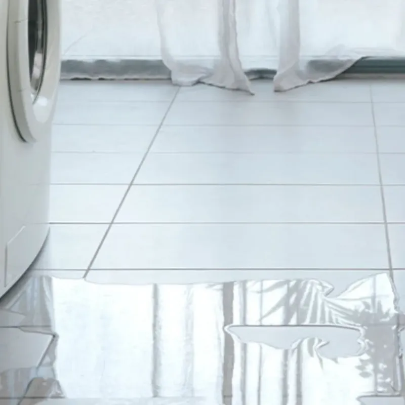 Appliance Leak Cleanup in Sidney, OH