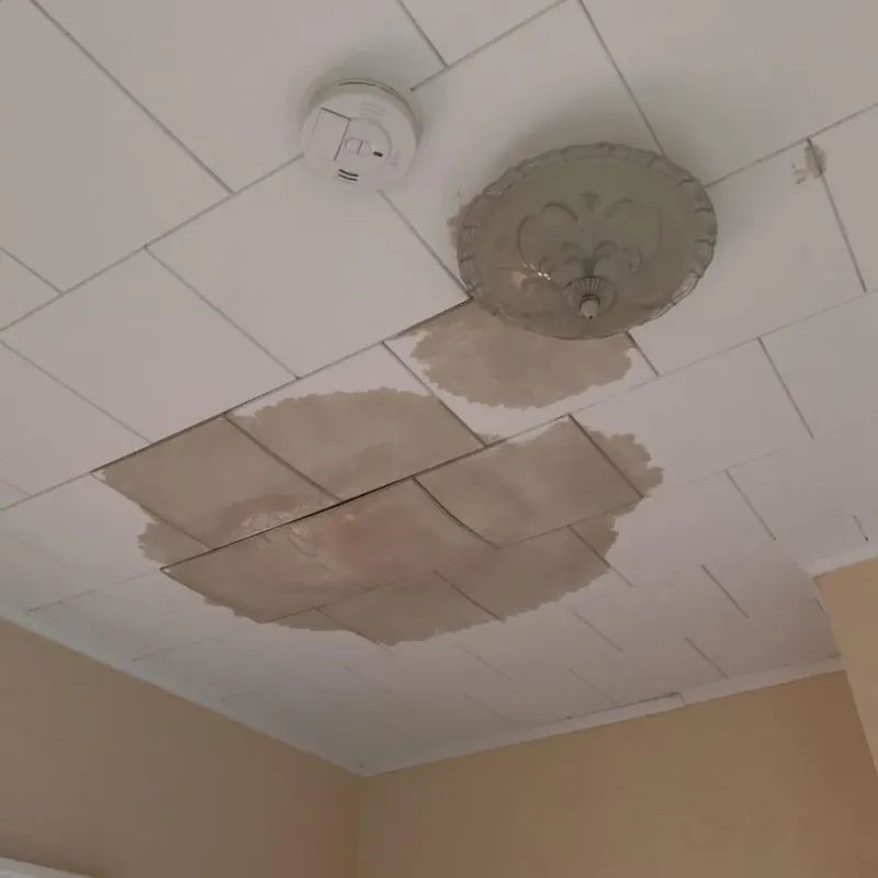Ceiling Water Damage Repair in Sidney, OH