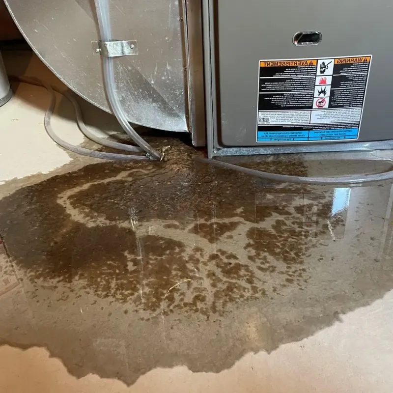 Pipe Burst and Leak Restoration in Sidney, OH