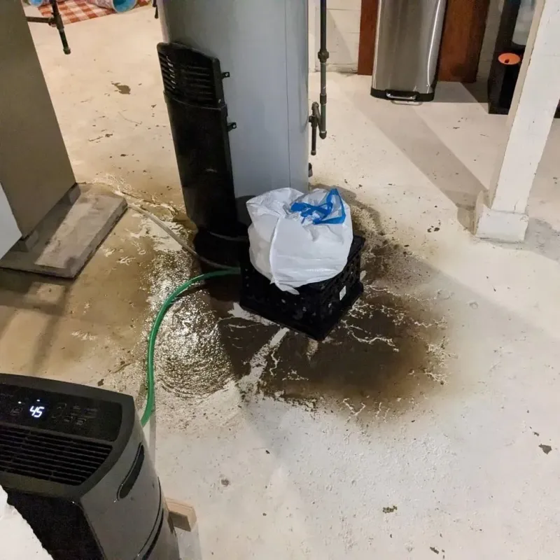 Sewage Backup Cleanup Service in Sidney, OH